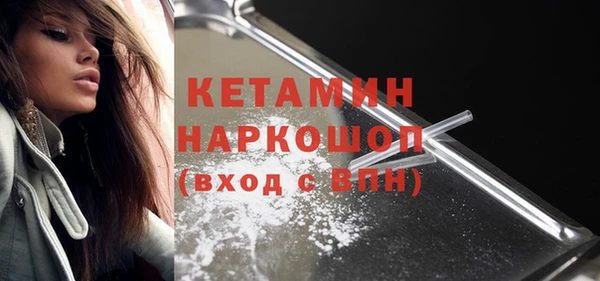 сатива Верея