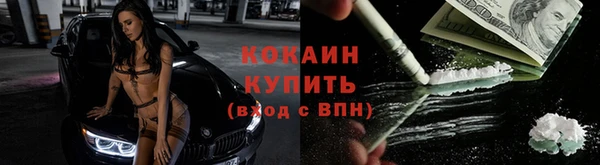 сатива Верея