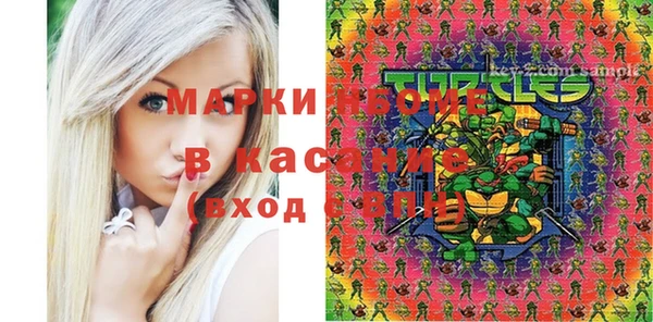 сатива Верея