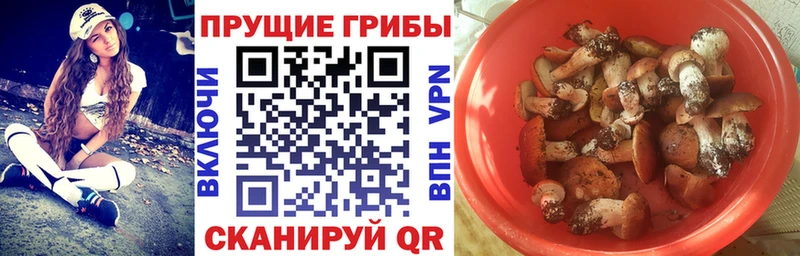 Купить где  Ветлуга  Галлюциногенные грибы мухоморы 